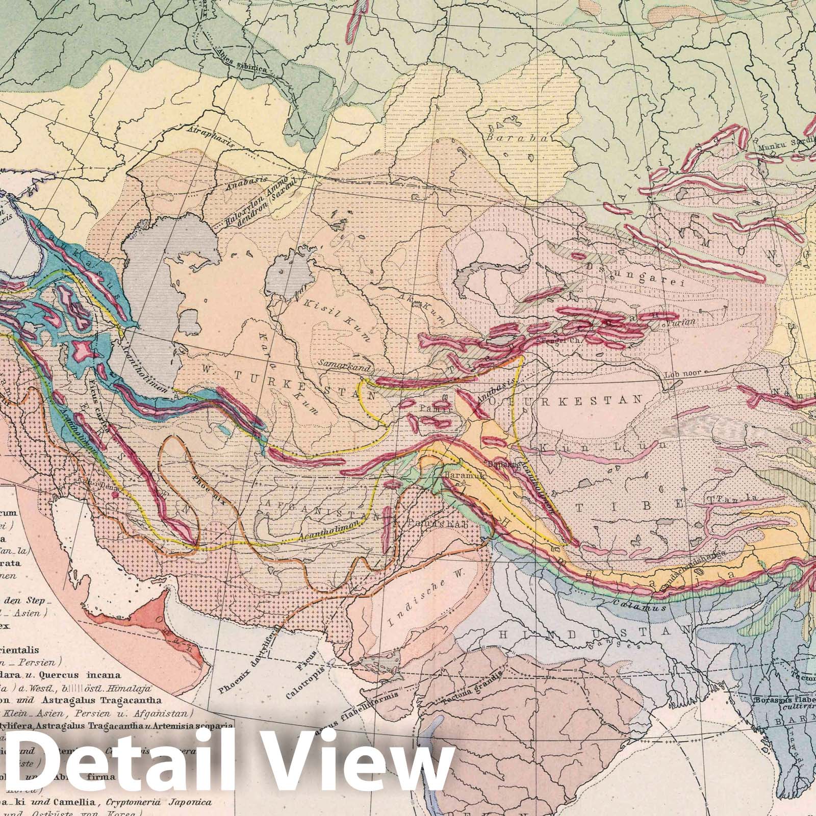 Asia and Europe Flora Map, 1886 - Historical Botanical Distribution Print