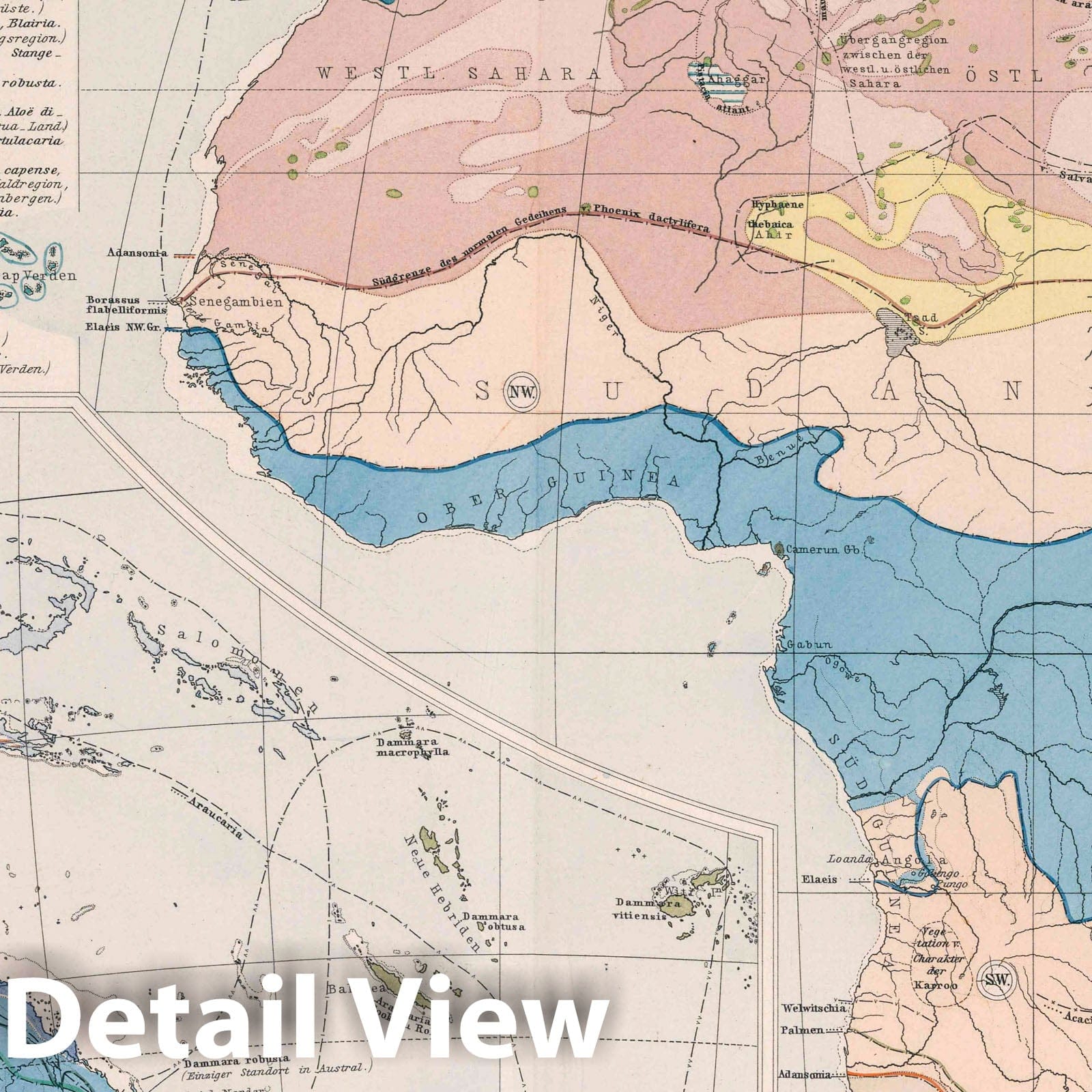 Africa and Australia - Flora Distribution Map, 1886 - Historical Map Print