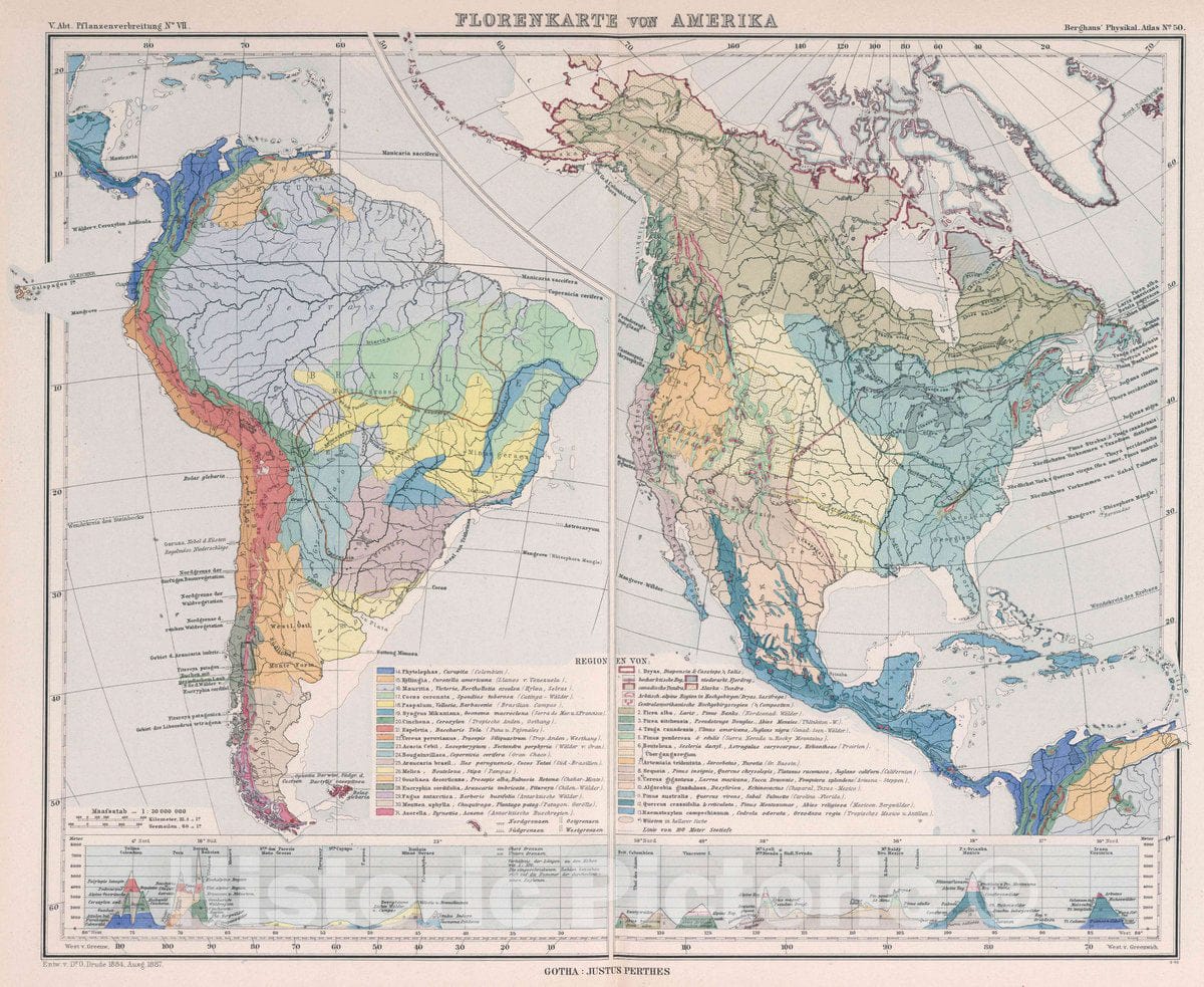 Historic Map : Florenkarte von Amerika. Entw. v. O. Drude. 1884, Ausg. 1887, 1887 Atlas - Vintage Wall Art