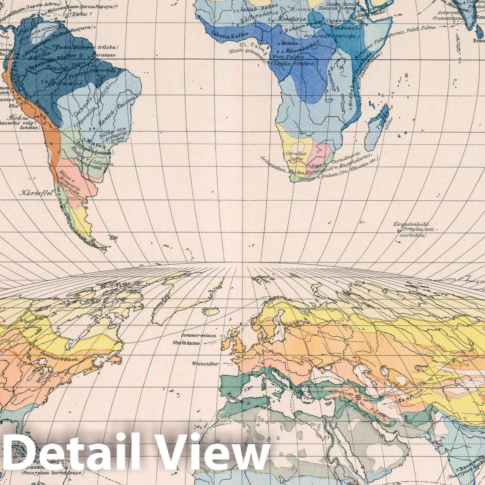 World Food Plants and Agricultural Zones - 1887 Historical Map Print