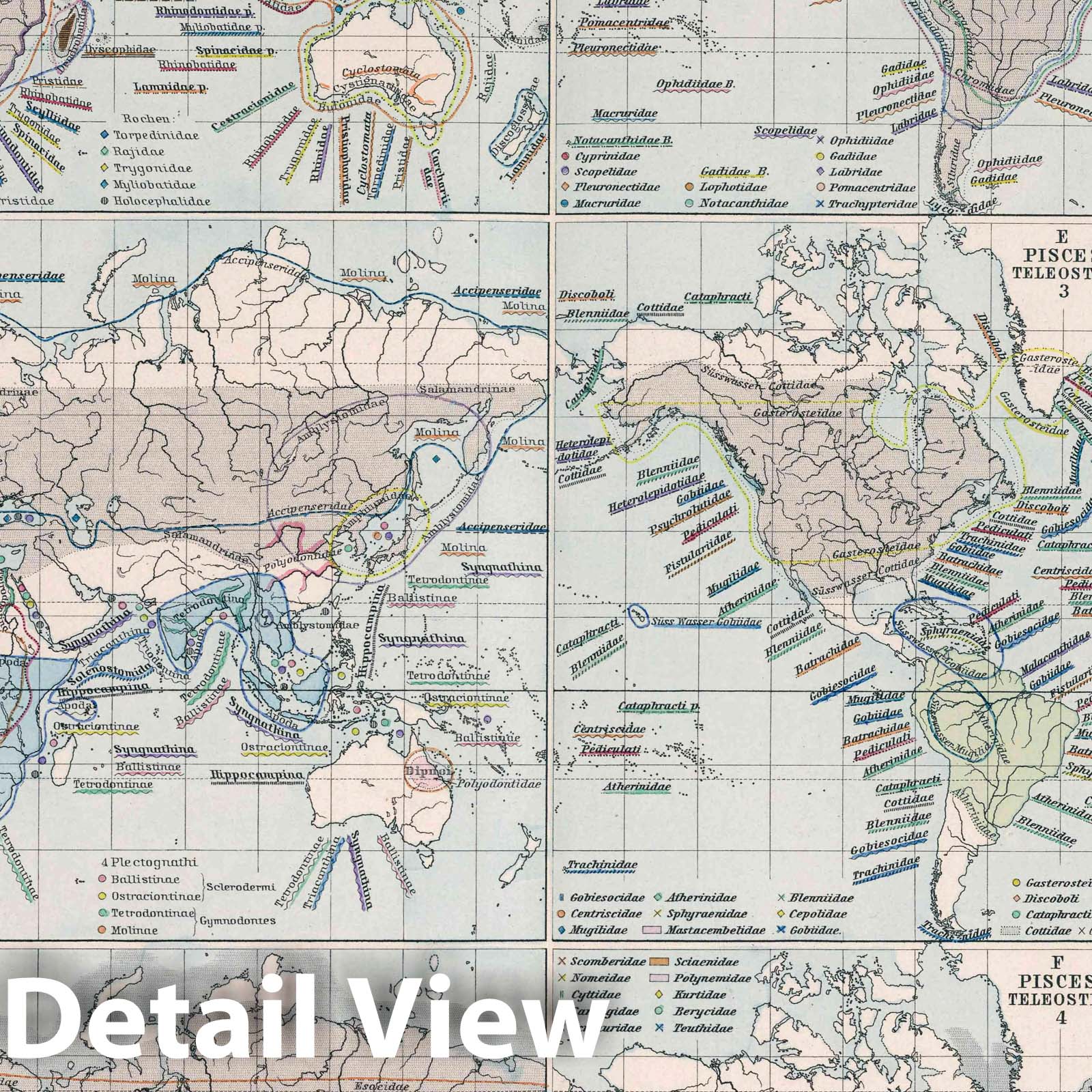 World - Amphibians and Fish Distribution Map, 1887 - Berghaus Historical Atlas Print