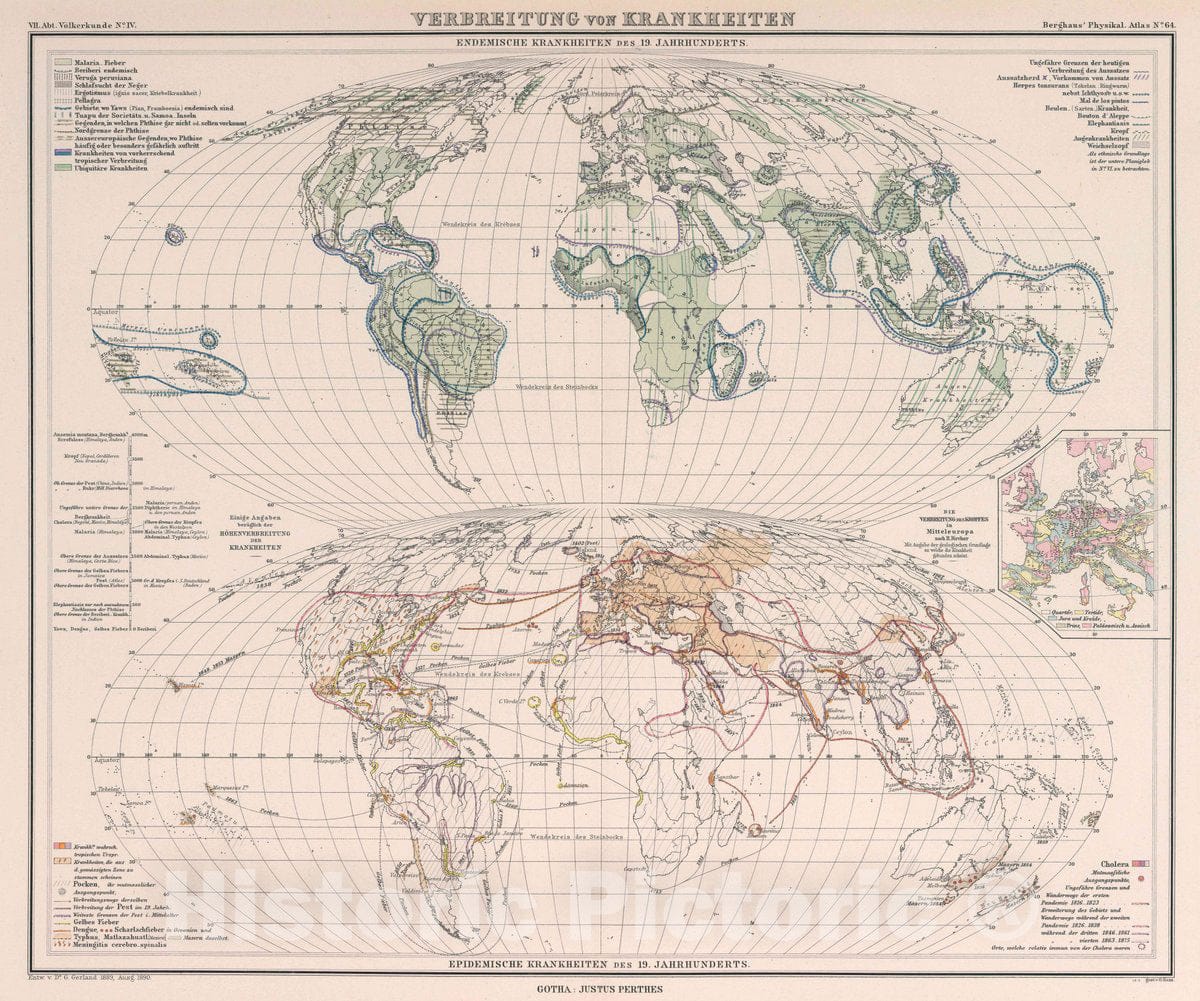Historic Map : Verbreitung von krankheiten, 1890 Atlas - Vintage Wall Art