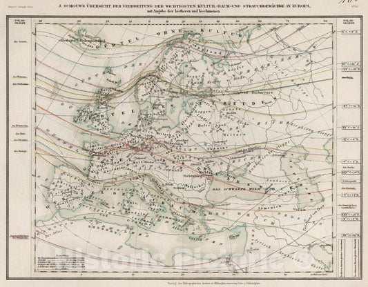 Historic Map : Verbreitung der wichtigsten Kultur, Baum und Strauchgewachse in Europa, 1854 Atlas - Vintage Wall Art