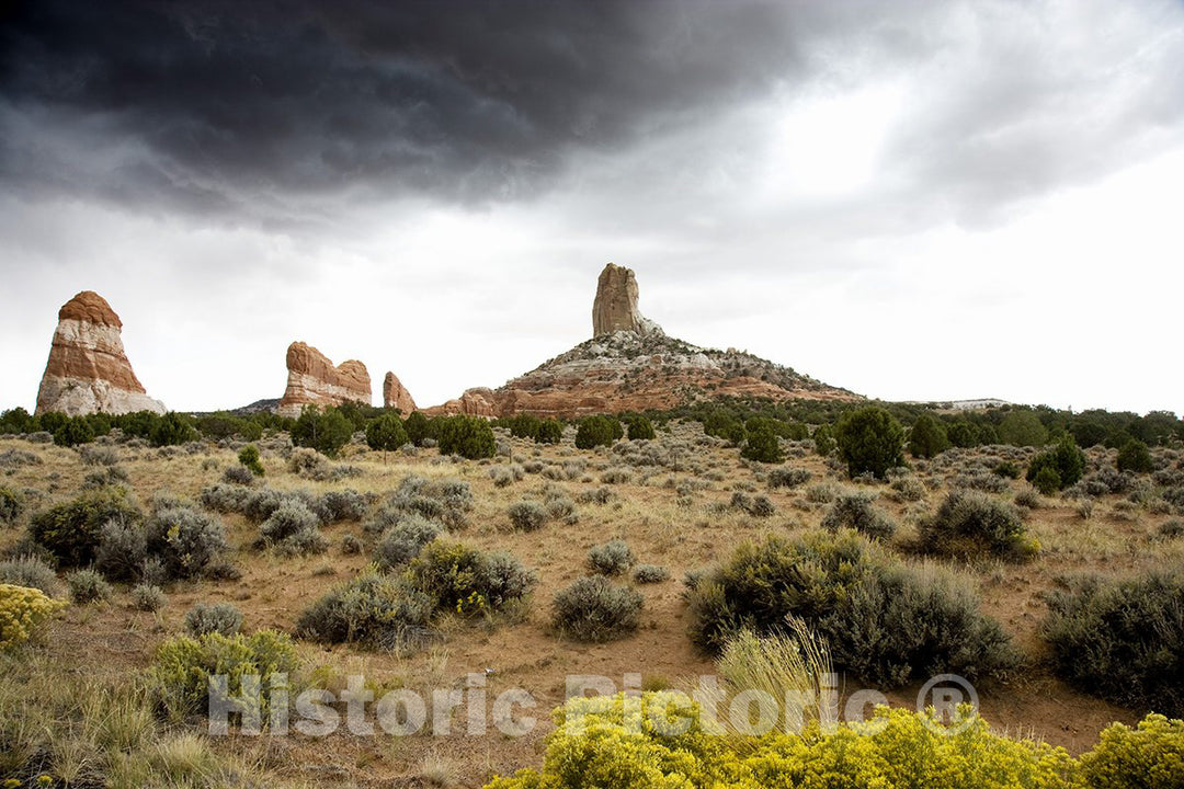 Arizona Photo - Rural Desert