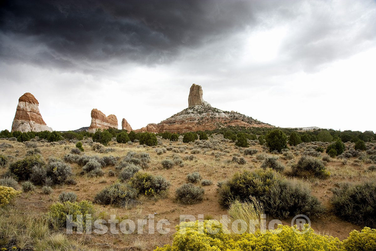 Arizona Photo - Rural Desert