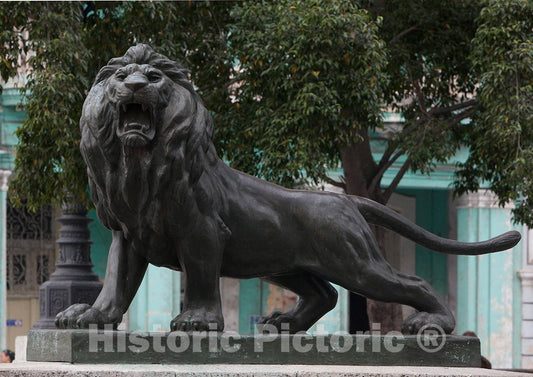 Photo - The Lion Statues on The Prado Promenade, Havana, Cuba- Fine Art Photo Reporduction