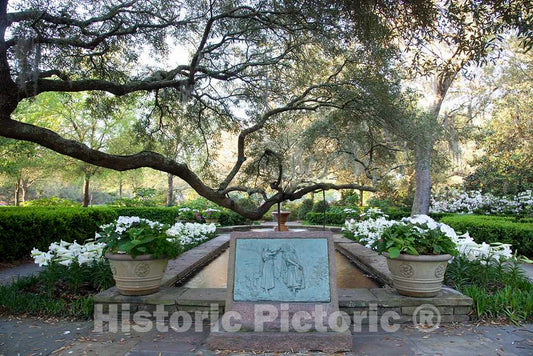 Photo- Bellingrath Gardens and Home, The Creation of Mr. and Mrs. Walter Bellingrath in Theodore, Alabama 2 Fine Art Photo Reproduction