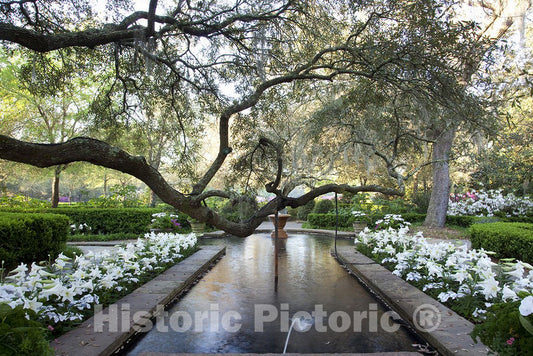 Theodore, AL Photo - Bellingrath Gardens and Home, The Creation of Mr. and Mrs. Walter Bellingrath in Theodore, Alabama
