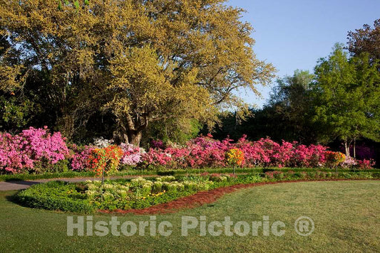 Photo- Bellingrath Gardens and Home, The Creation of Mr. and Mrs. Walter Bellingrath in Theodore, Alabama 3 Fine Art Photo Reproduction