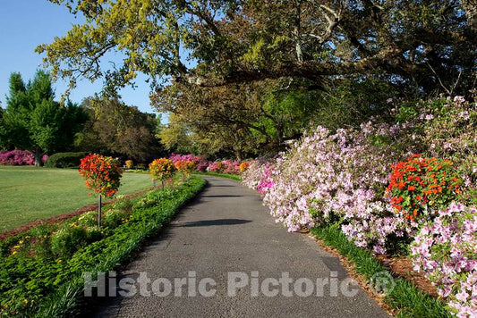 Photo- Bellingrath Gardens and Home, The Creation of Mr. and Mrs. Walter Bellingrath in Theodore, Alabama 4 Fine Art Photo Reproduction