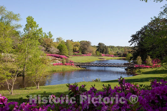 Photo- Bellingrath Gardens and Home, The Creation of Mr. and Mrs. Walter Bellingrath in Theodore, Alabama 5 Fine Art Photo Reproduction