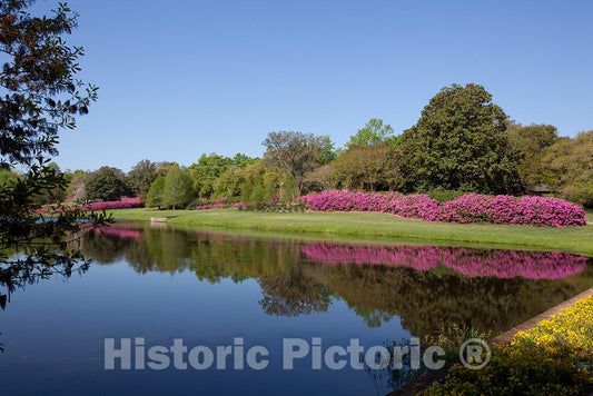 Photo- Bellingrath Gardens and Home, The Creation of Mr. and Mrs. Walter Bellingrath in Theodore, Alabama 6 Fine Art Photo Reproduction