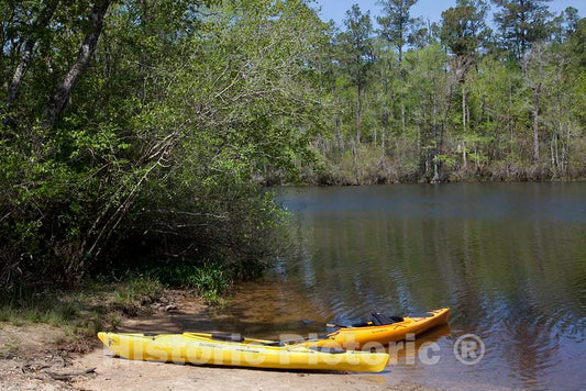 Photo - A Canoe Trip up The Mobile Delta, which Consists of Approximately 20,323 Acres of Water just North of Mobile Bay, Alabama- Fine Art Photo Reporduction