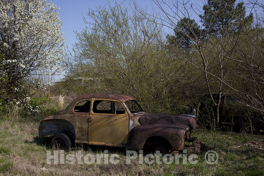 Alabama Photo - Rural Alabama in the spring