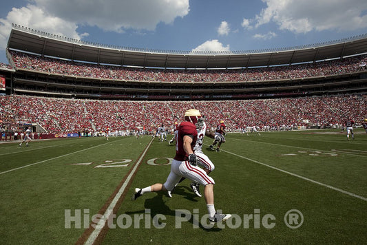 Tuscaloosa, AL Photo - University of Alabama Football Game, Tuscaloosa, Alabama