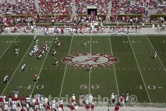 Tuscaloosa, AL Photo - A-Day, a Spring Football Scrimmage at University of AL, Tuscaloosa, AL