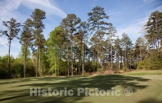 Photo- Grand National Golf Course, Part of The Robert Trent Jones Trail, Opelika, Alabama 2 Fine Art Photo Reproduction