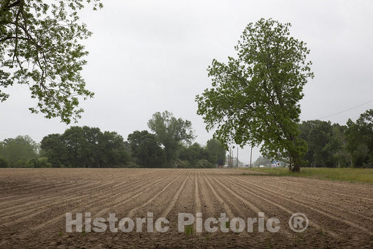 Monroe County, AL Photo - Farmland in Monroe County, Alabama