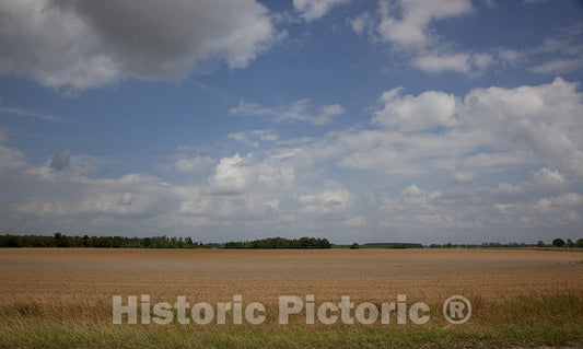 Monroe County, AL Photo - Farmland in Monroe County, Alabama