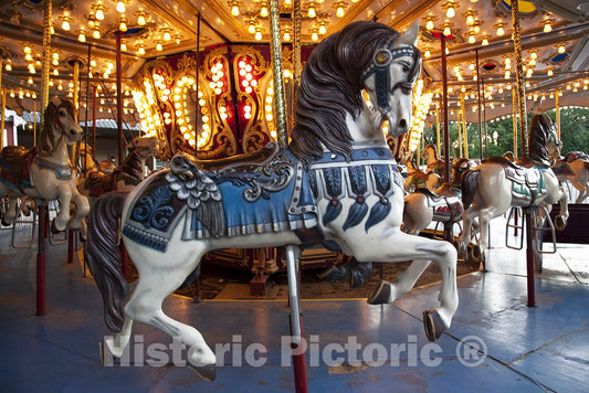 Tuscumbia, AL Photo - Carousel in Spring Park, Tuscumbia, Alabama
