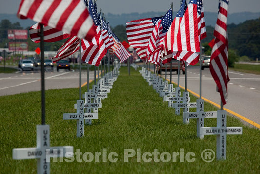 Photo- Flags Fly for Gadsden Area war Veterans in Gadsden, Alabama 1 Fine Art Photo Reproduction