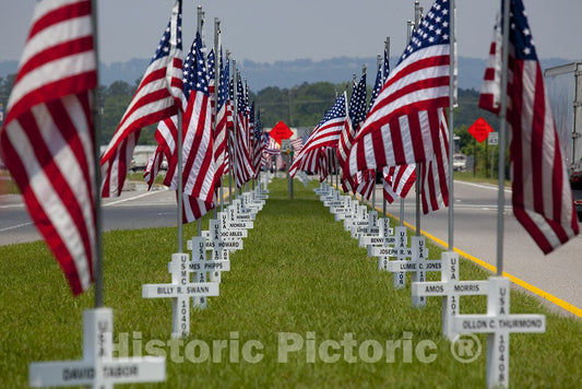 Gadsden, AL Photo - Flags Fly for Gadsden Area war Veterans in Gadsden, Alabama