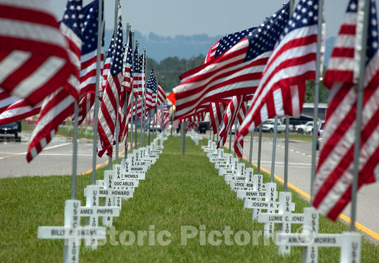 Photo- Flags fly for Gadsden area war veterans in Gadsden, Alabama 2 Fine Art Photo Reproduction