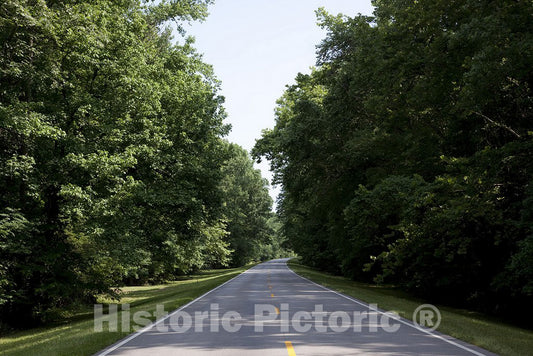 Florence, AL Photo - Natchez Trace Parkway in Florence, Alabama