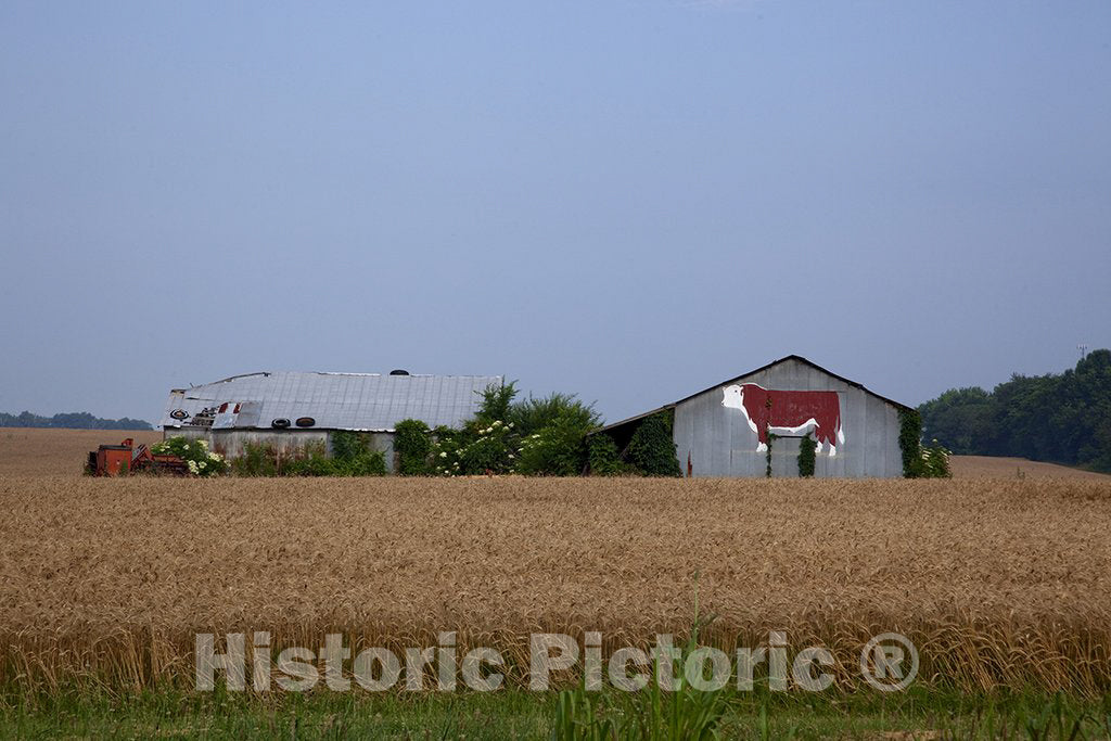 Alabama Photo - Barn, Alabama