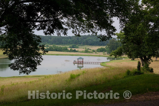 Photo - Thornhill Plantation, Greene County, Alabama- Fine Art Photo Reporduction