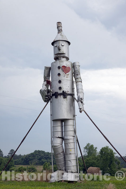 Forkland, AL Photo - Tin Man Art in hay Field Near Forkland, Alabama