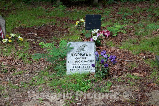 Photo- Key Underwood Coon Dog Memorial Graveyard, Colbert County, Alabama 1 Fine Art Photo Reproduction
