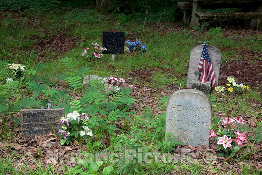 Photo- Key Underwood Coon Dog Memorial Graveyard, Colbert County, Alabama 2 Fine Art Photo Reproduction