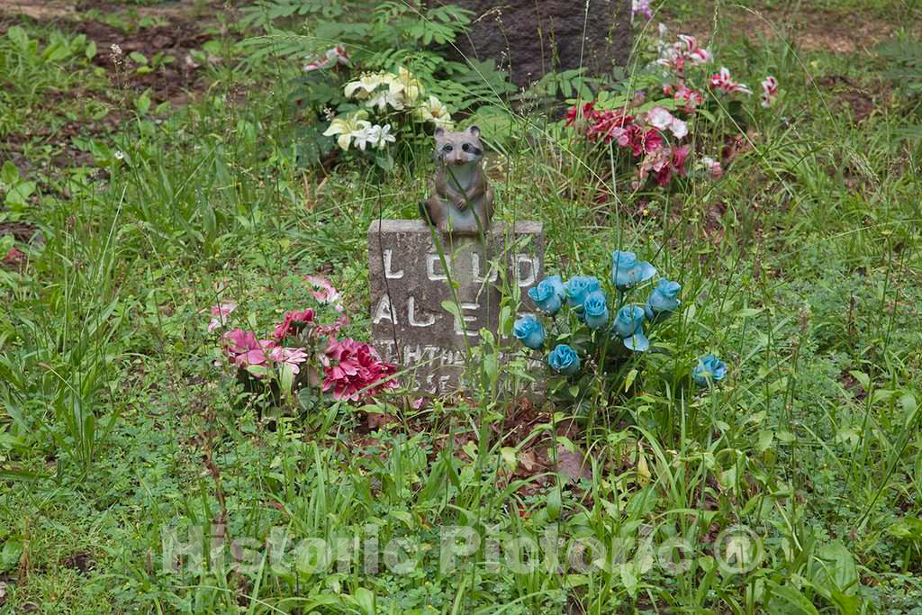 Photo- Key Underwood Coon Dog Memorial Graveyard, Colbert County, Alabama 3 Fine Art Photo Reproduction