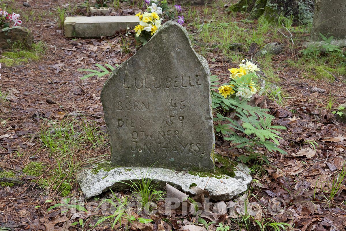 Colbert County, AL Photo - Key Underwood Coon Dog Memorial Graveyard-