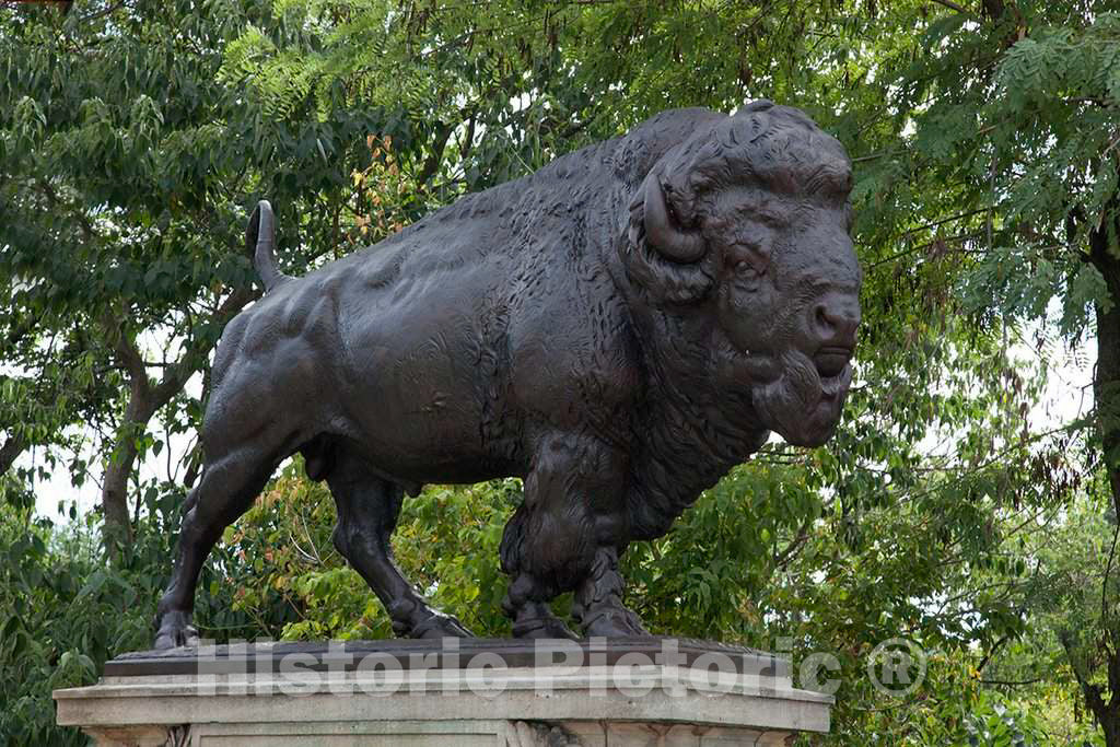 Photo - Buffalo statue created by Alexander Phimister Proctor on Dumbarton Bridge, Q St. near intersection with 23rd St, NW, Washington, D.C.- Fine Art Photo Reporduction