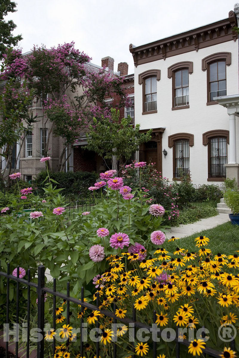 Washington, D.C. Photo - Row Houses, East Capitol St, Washington, D.C.
