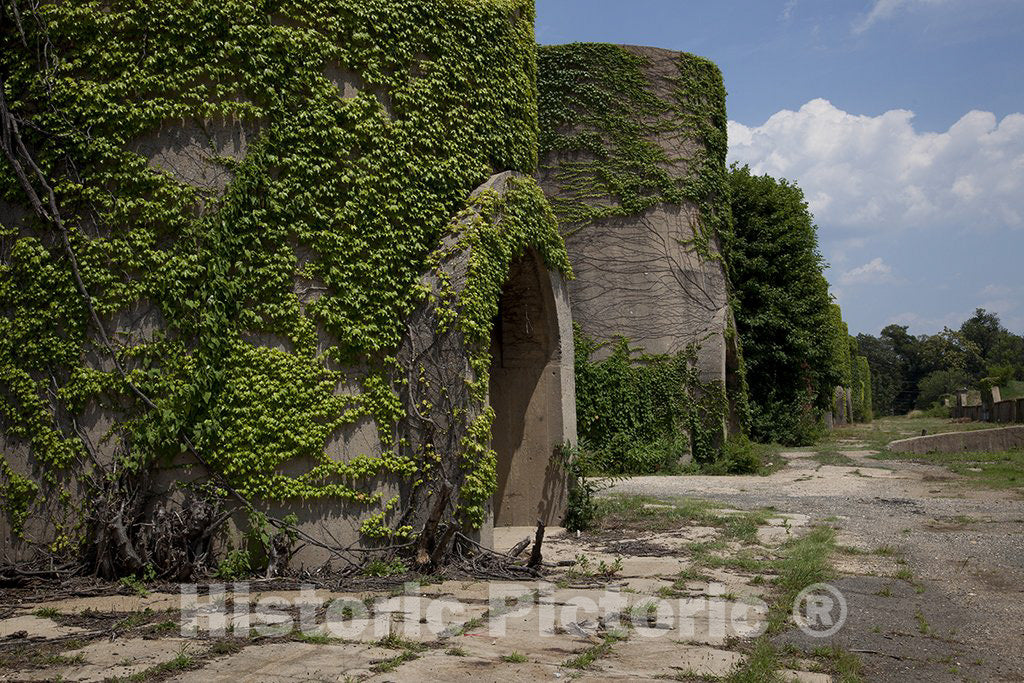 Washington, D.C. Photo - McMillan Reservoir, Washington, D.C.