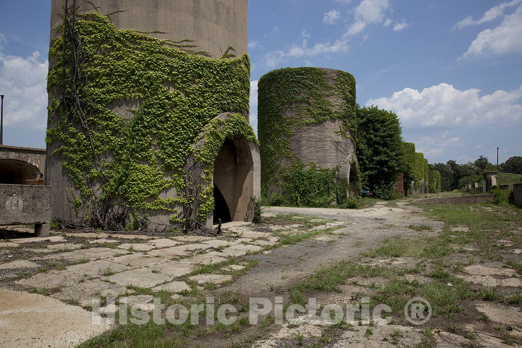 Washington, D.C. Photo - Mcmillan Reservoir, Washington, D.C.