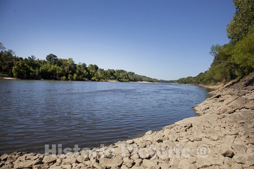 Monroe County, AL Photo - Alabama River, Monroe County, Alabama