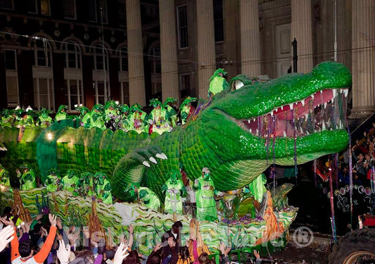 Photo - Mardi Gras Parade, New Orleans, Louisiana- Fine Art Photo Reporduction