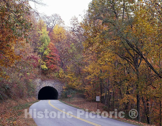 North Carolina Photo - Tunnel on North Carolina's Blue Ridge Parkway