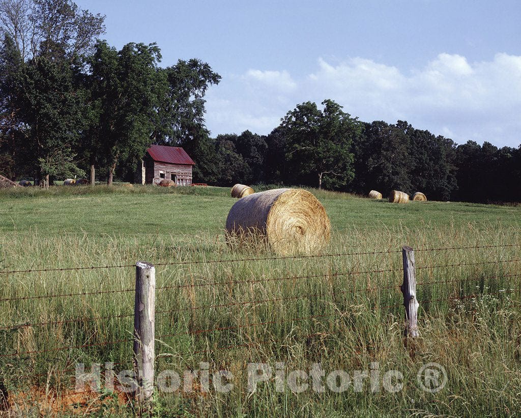 North Carolina Photo - Rural Farm Scene, North Carolina
