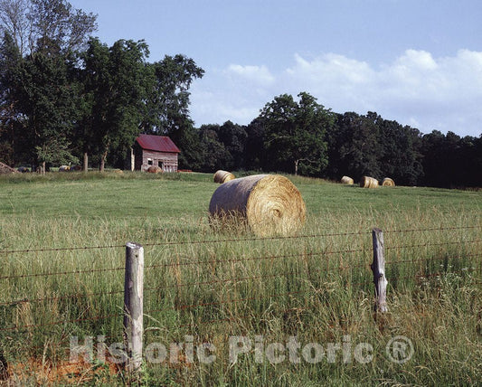 North Carolina Photo - Rural Farm Scene, North Carolina