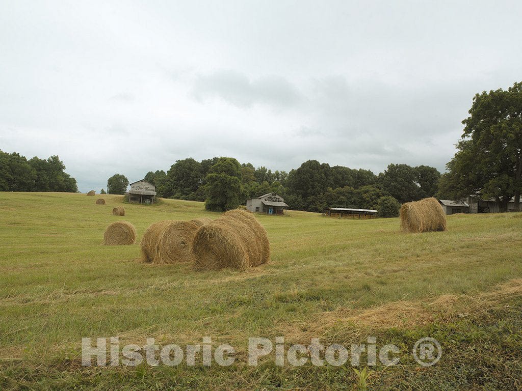 North Carolina Photo - Hay Rolls, Rural America farmland, North Carolina
