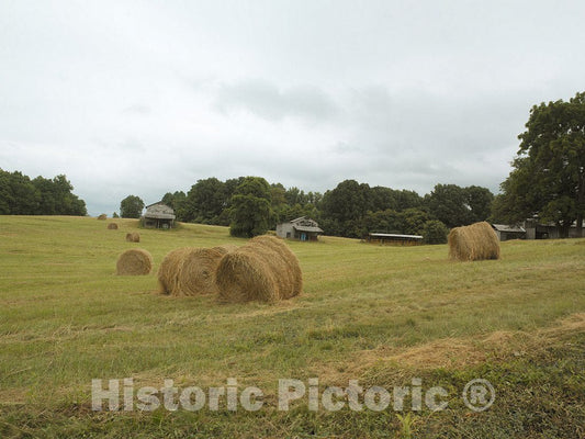 North Carolina Photo - Hay Rolls, Rural America farmland, North Carolina