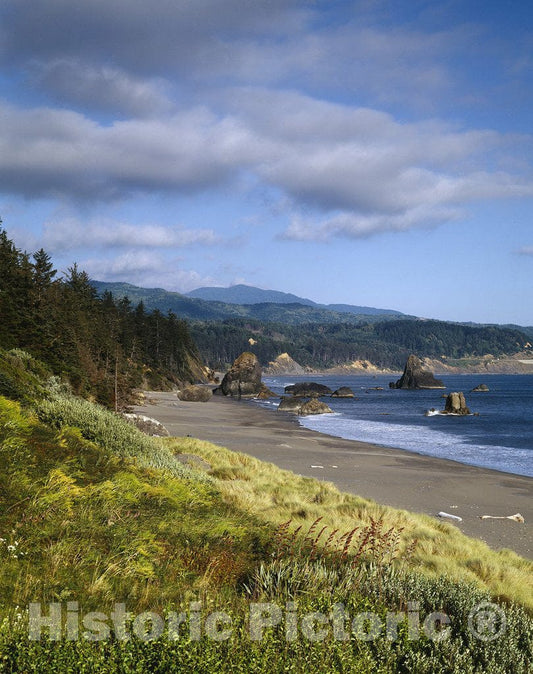 Big Sur, CA Photo - Big Sur, California