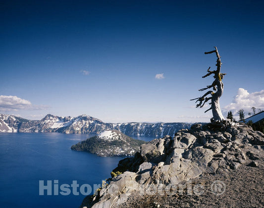 Crater Lake, OR Photo - Crater Lake, Oregon