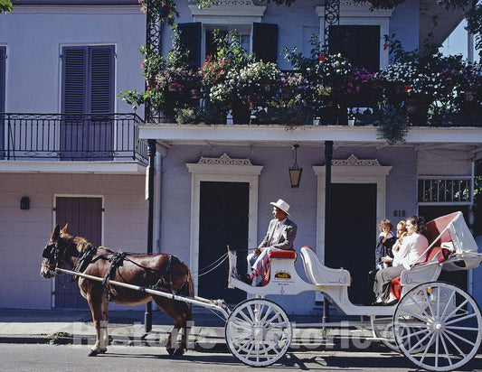 New Orleans, LA Photo - French Quarter Mule Ride, New Orleans, Louisiana