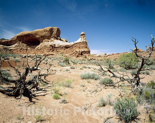 United States Photo - Desert southwest